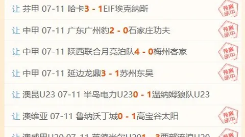 热刺新援托纳利在线博彩：勇敢转型，开启热刺生涯新篇章